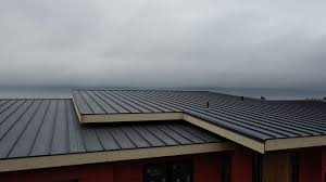 Best Roof Ventilation Installation  in Poncha Springs, CO